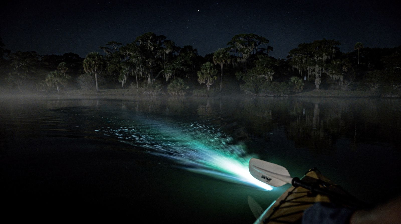 Bioluminescent kayak tours