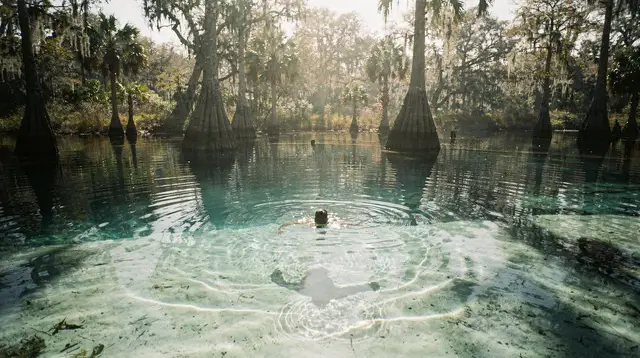 Springs nature