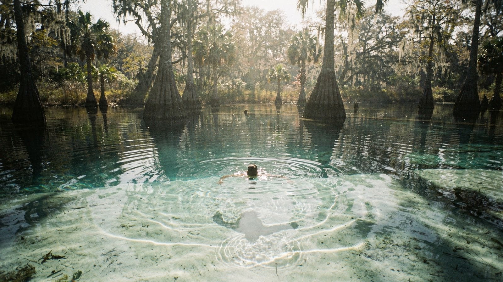 Springs and nature