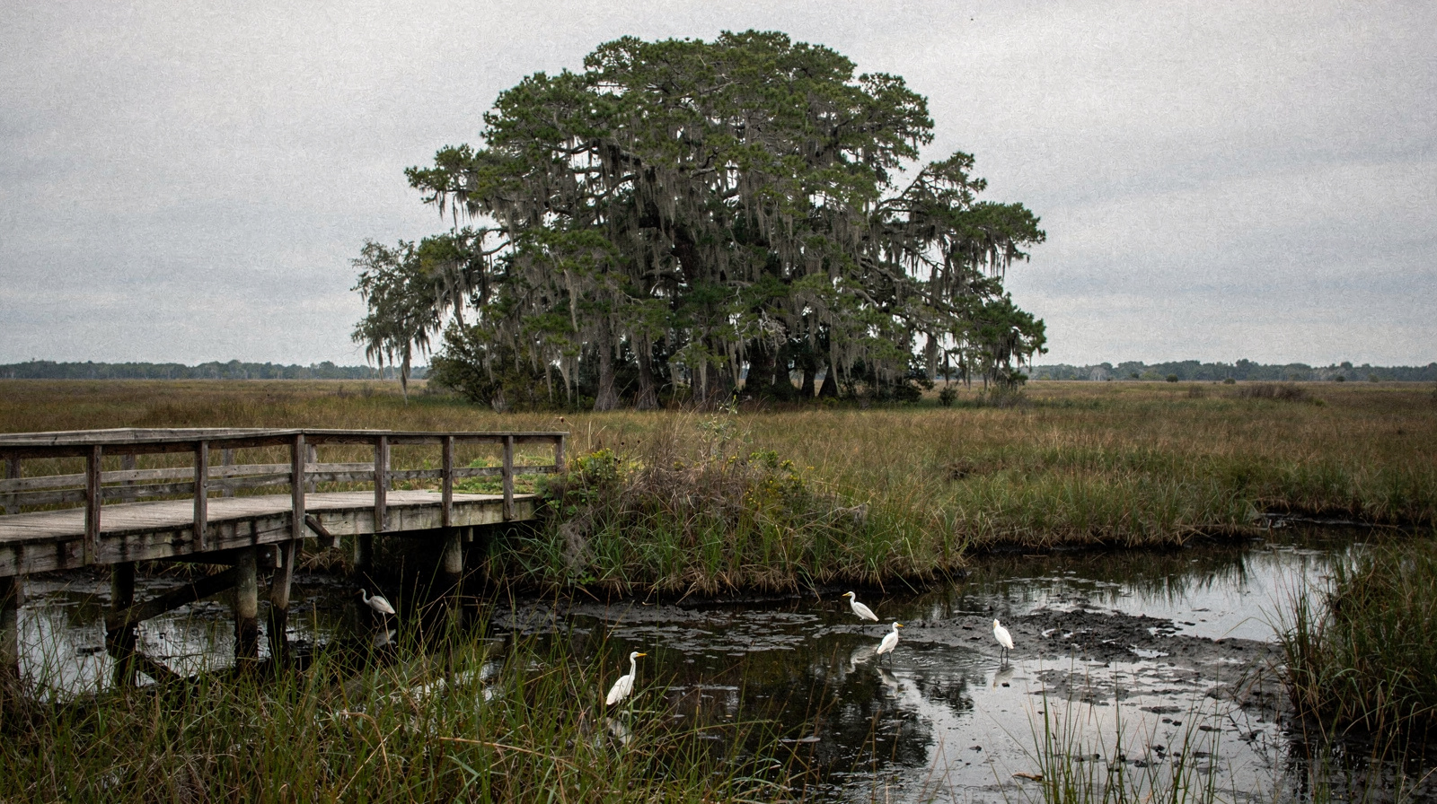 Cape Canaveral, Floryda