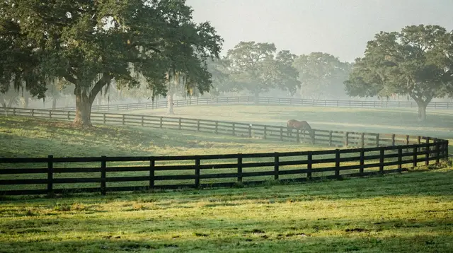 Ocala