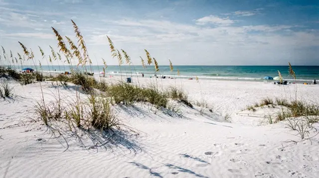 Sarasota