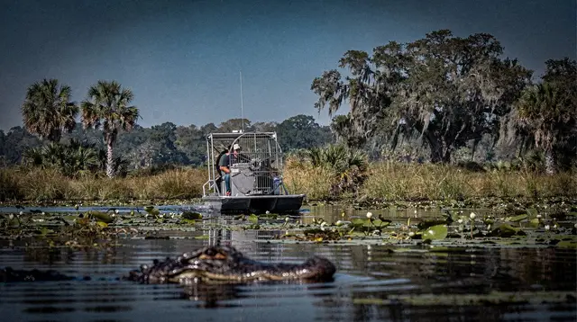 Choosing an airboat tour in Kissimmee