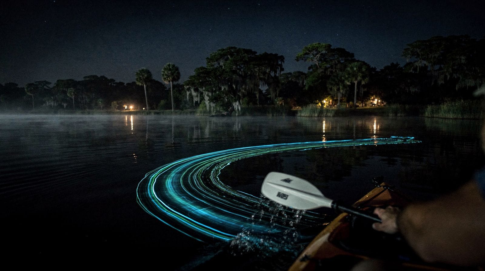 Quand voir la bioluminescence pres d'Orlando : saison et phase de lune