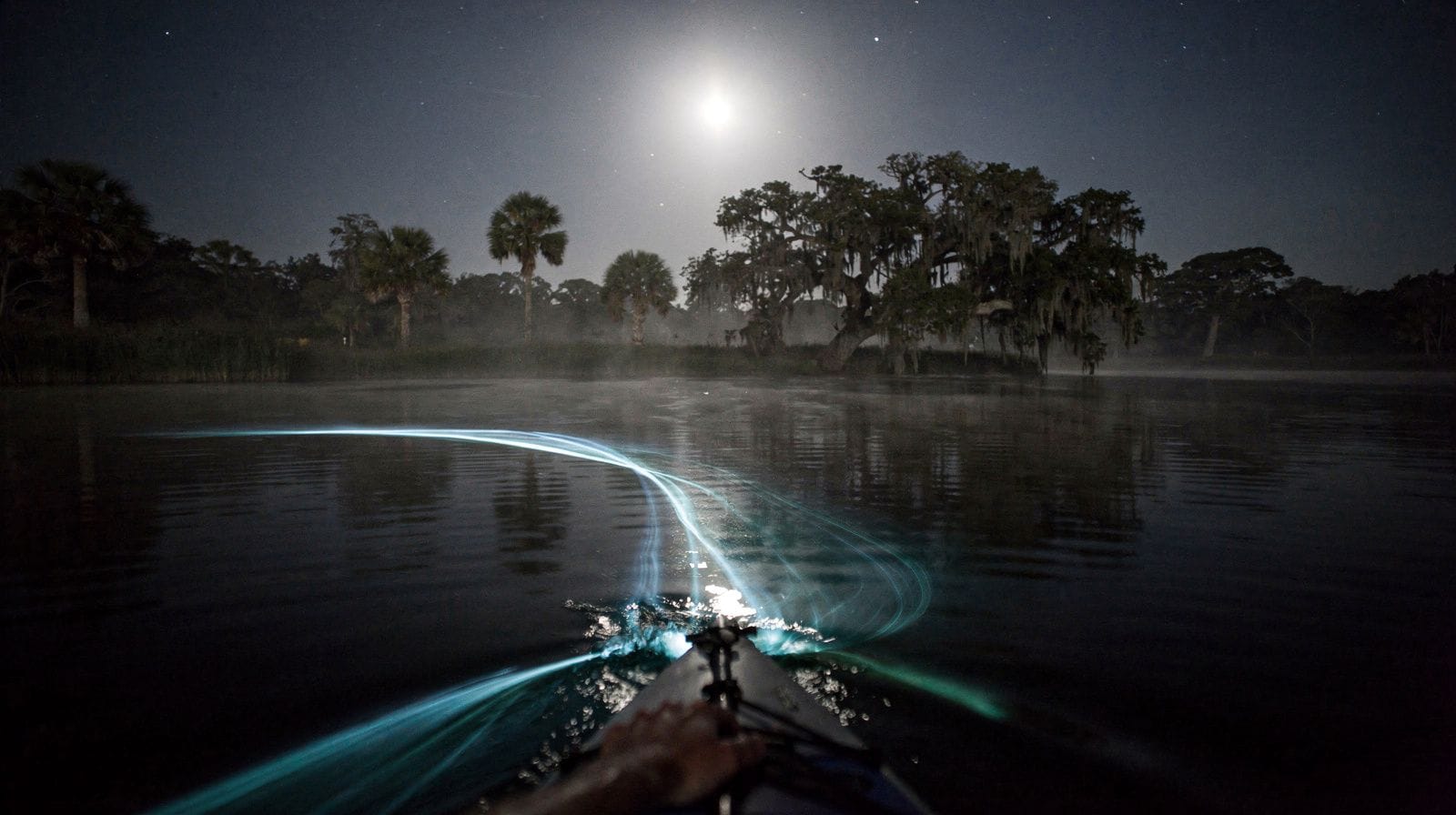 Kayak bioluminescent sur Mosquito Lagoon : le guide complet