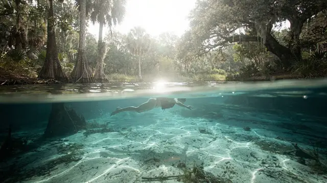 Florida springs day trip planner from Orlando