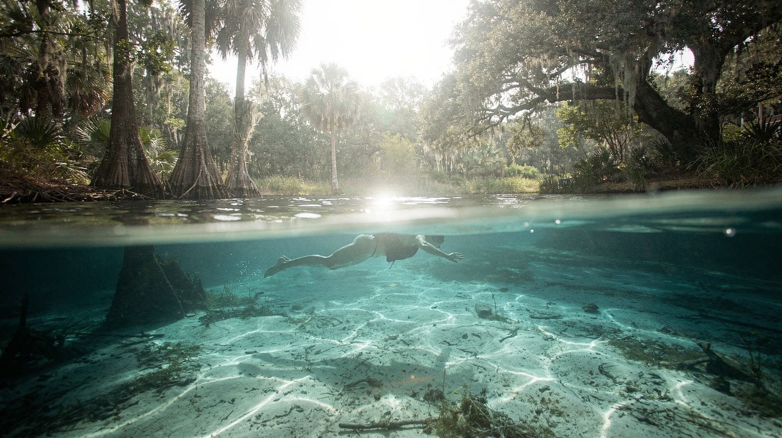Planifier une journée dans les sources de Floride depuis Orlando