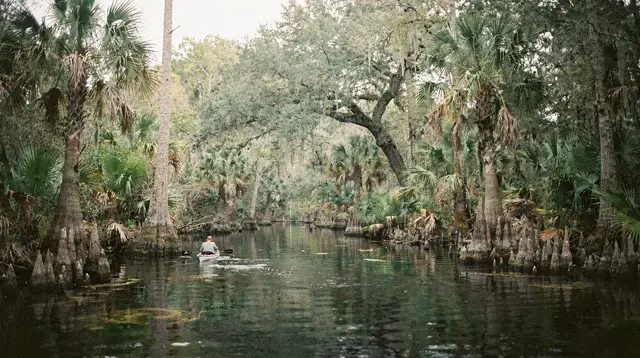 Kayaking Wekiwa Springs and the Rock Springs Run