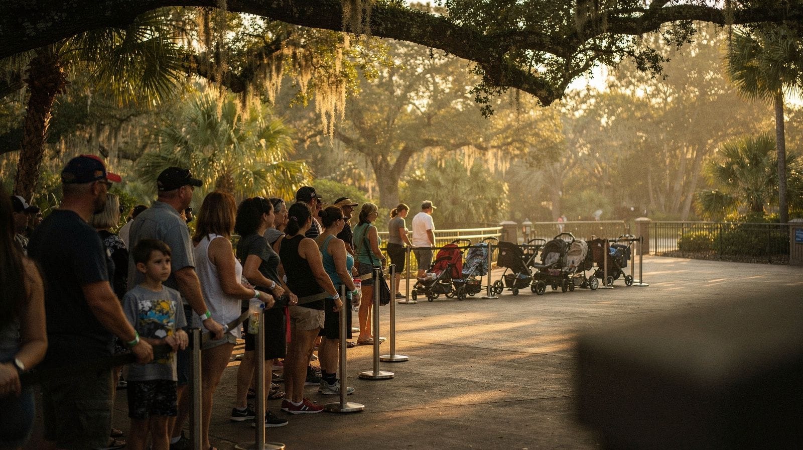 Parcs aquatiques d'Orlando : Volcano Bay, Disney et Aquatica comparés