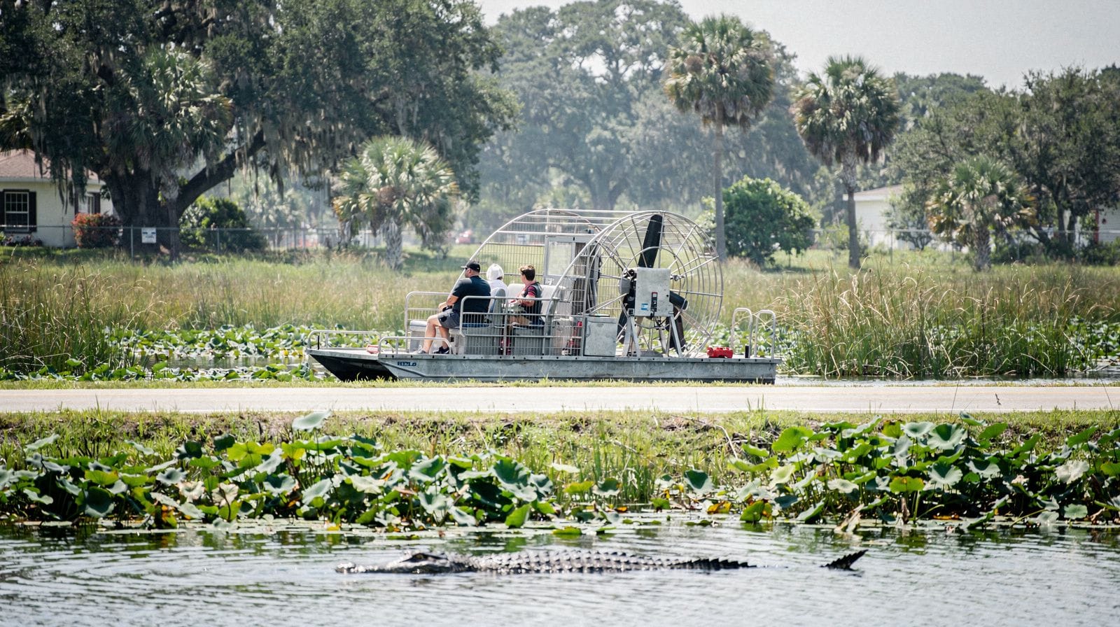 Voir des alligators pres d'Orlando : airboat, croisière, sentier de parc ou parc animalier