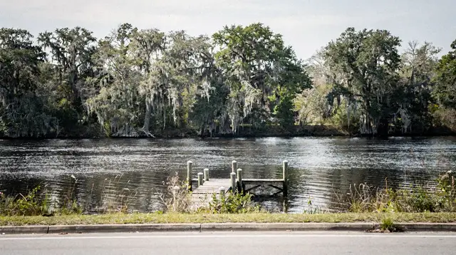 St. Johns River eco-cruise: what you'll actually see
