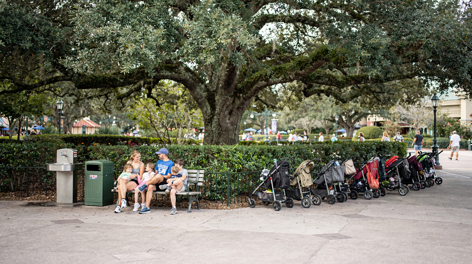 Jeden dzień w Magic Kingdom: plan godzina po godzinie
